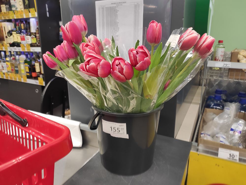 Где Можно Купить Тюльпаны Недорого