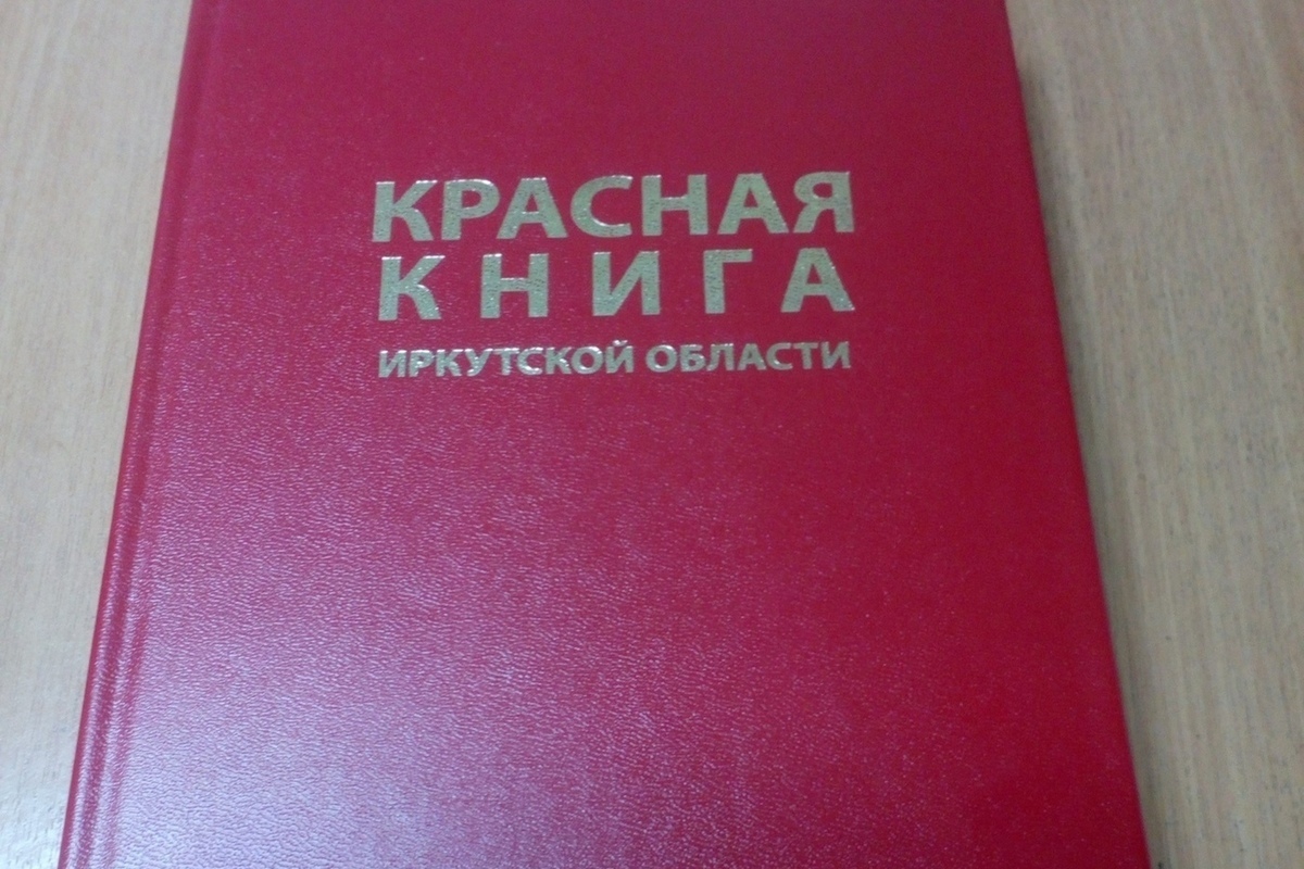 Красная книга Иркутской области обложка