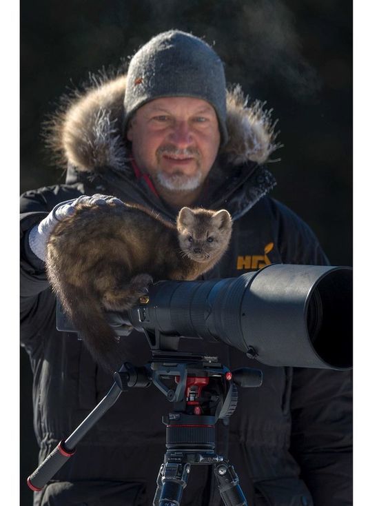   Wildlife Photographer of the Year  