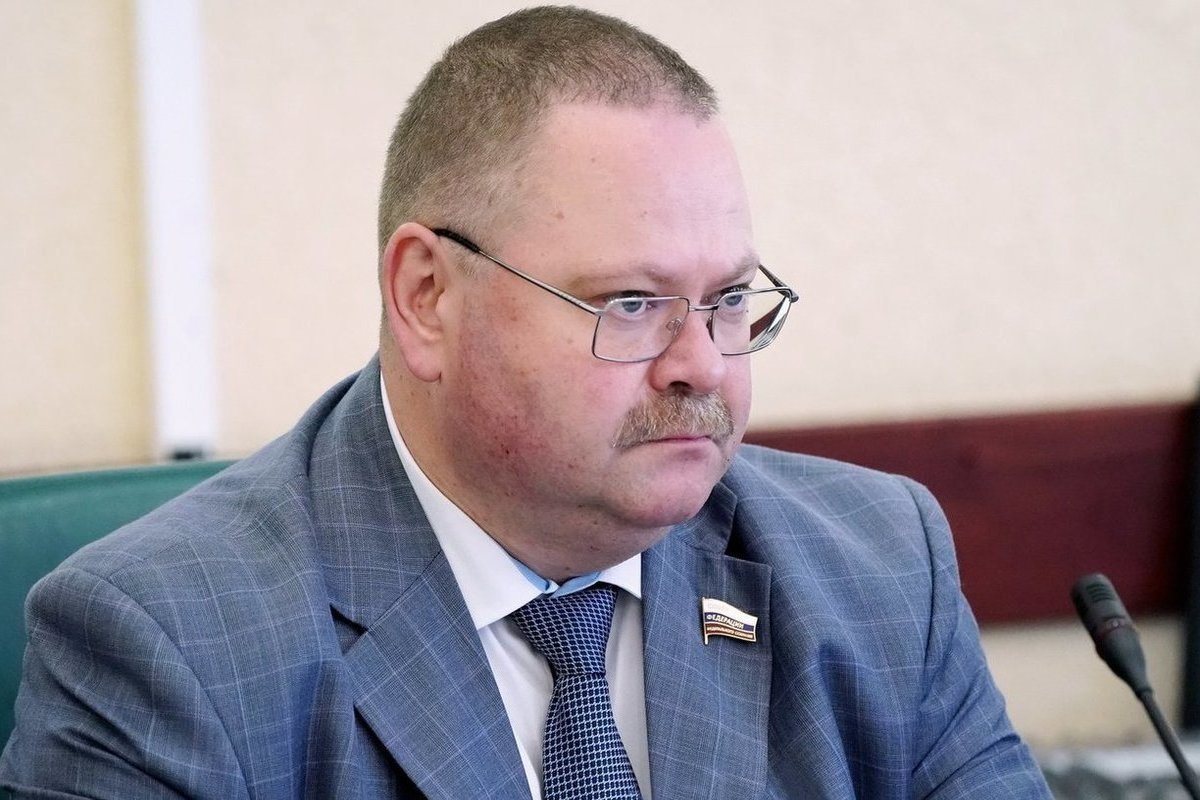 Сенатор Олег ерьмиченко