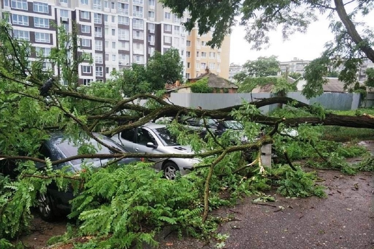 Ураган в Белгороде
