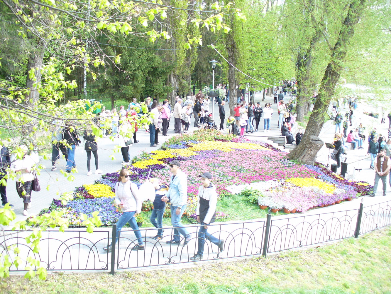 белгород фестиваль цветов фото