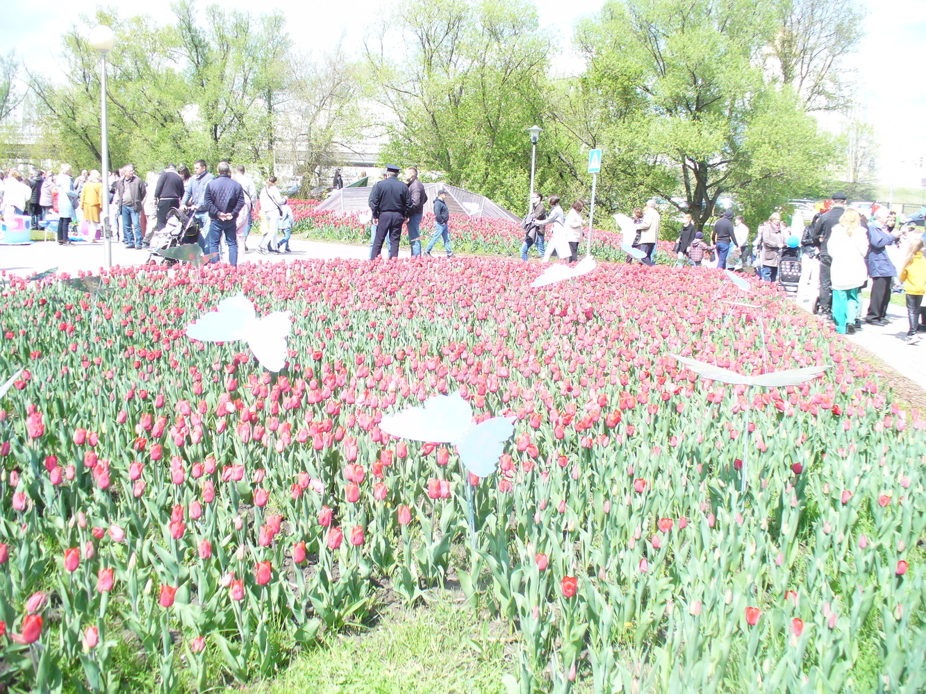Белгород реки цветов фестиваль