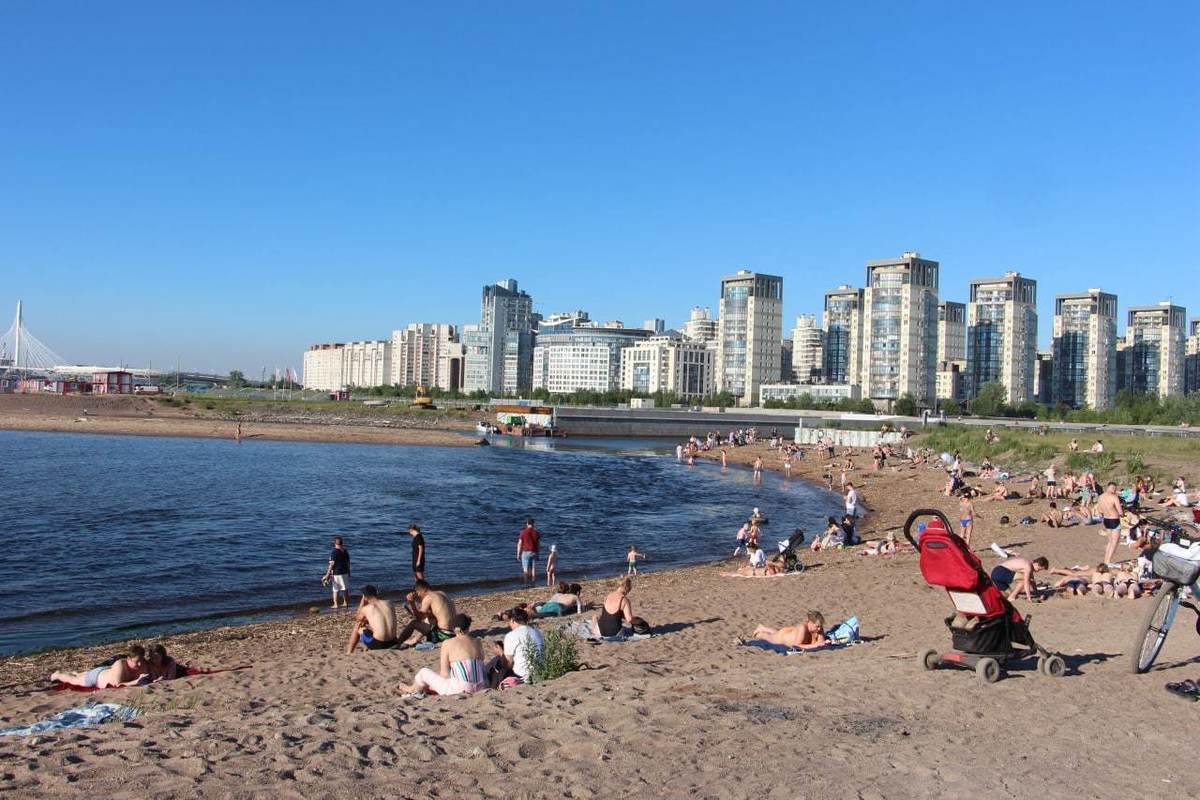 Финский залив в санкт петербурге картинки