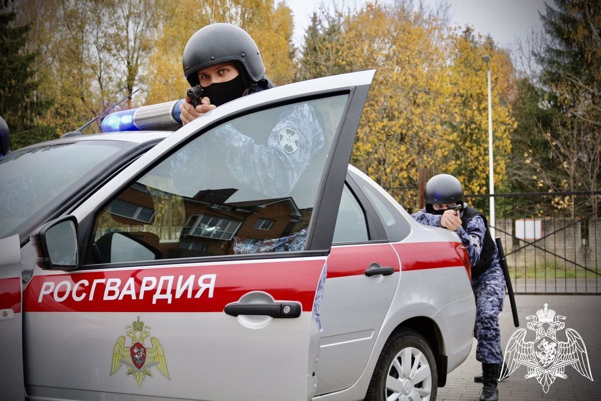 Картинка росгвардии