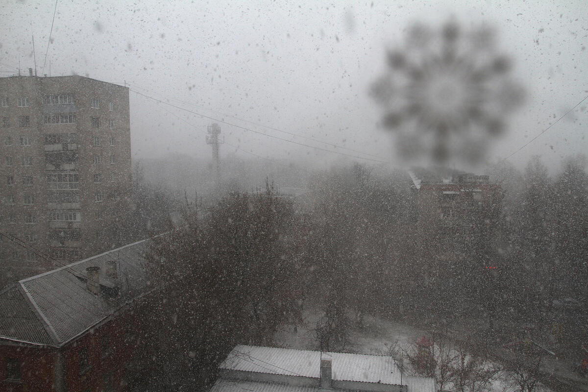  �������� ������ ������ ���� 