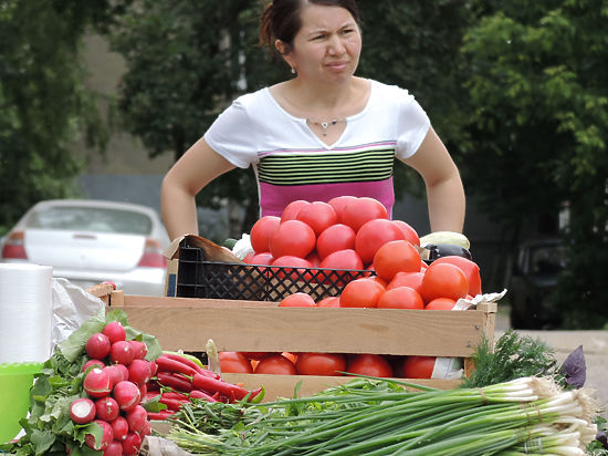 В правительство РФ поступил законопроект об органическом земледелии