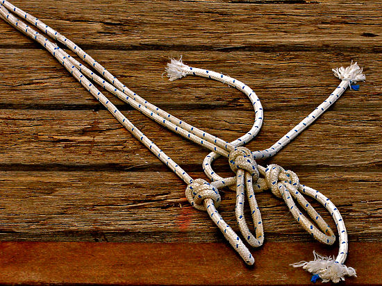 Власти намерены проверить деятельность центра