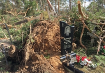 В Подмосковье сильным ветром разрушено кладбище