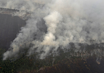 В России, чтобы победить лесные пожары, могут перестать жечь траву как в Европе 
