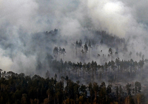 Чиновники призывают не тушить лесные пожары в чащах