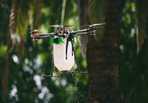 В Австралии посевы кукурузы летающий дрон бомбардирует специальными жуками