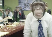 "Забавные обезьяны" помогли хакерам взломать переписку Обамы