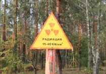 В Чернобыле горят гектары радиоактивного леса