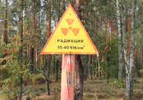 Пожар в зоне отчуждения под Чернобылем удалось локализовать