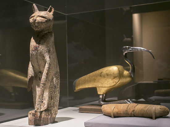 Ученые установили, что только треть мумий животных Древнего Египта являются подлинными
