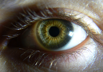 Вирус Эбола меняет у выживших цвет глаз