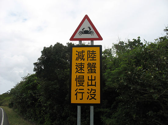 Чтобы ужиться с четвероногими, люди  придумали специальные дорожные знаки, например: «Осторожно, крабы!»