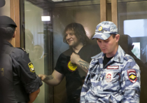 Адвокат жертвы Емельяненко доволен приговором и не требует компенсации