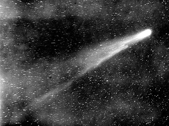 Комета Галлея призывает... не мучить детей