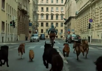 В Москве показали фильм о восстании бродячих собак