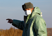Птичий грипп, охвативший США, рвется в Россию 