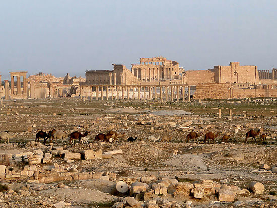 Музейщики призывают остановить уничтожение древнего города 