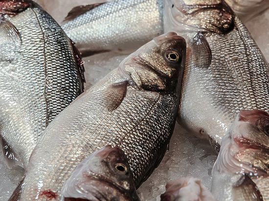 Почему на Сахалине нет дешевой рыбы?
