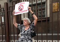 Правозащитники пикетируют Госдуму против «закона садистов»