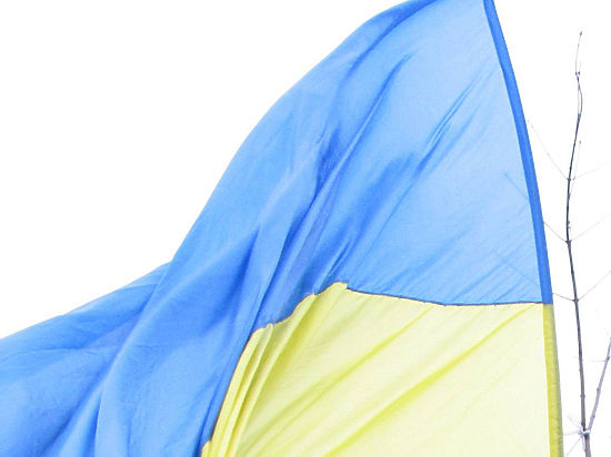 Украинское гражданство им дадут за активную оппозиционную деятельность