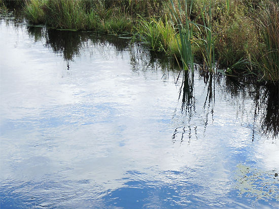 Задержанные проверяются на причастность к движению «борцов с наркомафией»