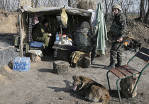 Два украинских батальона чуть не перестреляли друг друга за еду