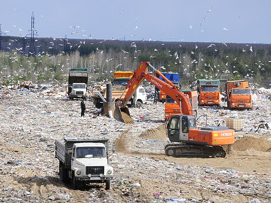 Почему жители против строительства мусорного полигона рядом с деревней Волчиха