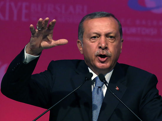 Что оппозиции не нравится в президенте Эрдогане?