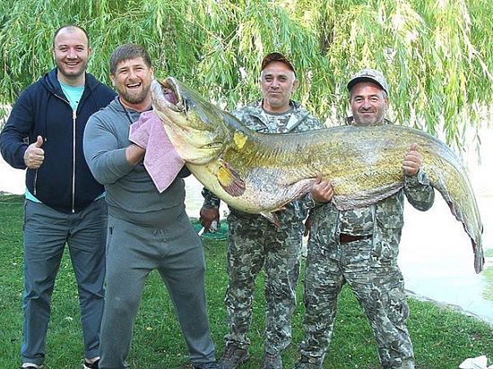 Самая тяжелая политическая рыба выловлена в Чечне