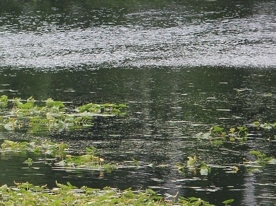 СМИ выдвигают различные версии опасной находки на гидроузле