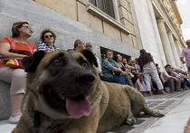 Эксперт назвал условия отмены референдума в Греции