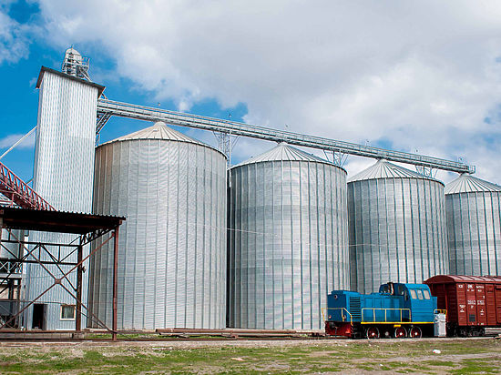 Республика неуклонно теряет рынки сбыта зерна