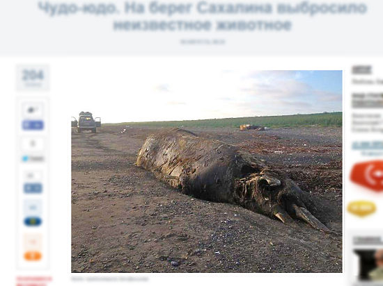 А шуму то было!