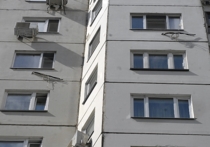 В Москве девочку и собаку выбросил в окно сожитель хозяйки квартиры