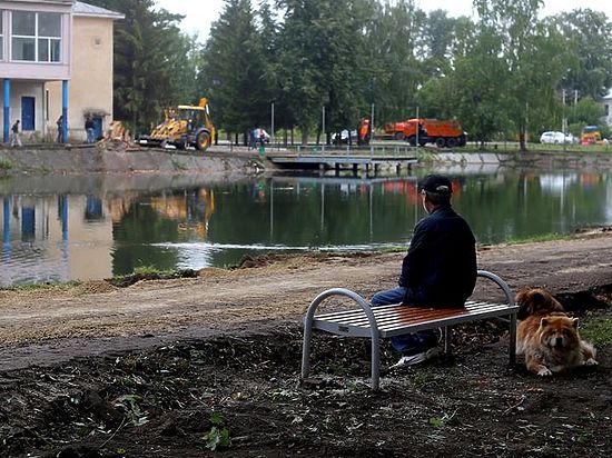 Наталия Фишман нашла, кому доверить охрану деревьев в Казани 