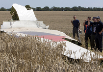 Пять стран выступили за создание международного трибунала по гибели MH17
