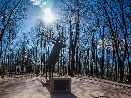 Скульптуру оленя из смоленского парка Блонье хотят забрать в Калининград