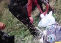 О чем говорит «отвратительное» видео с места падения MH 17 
