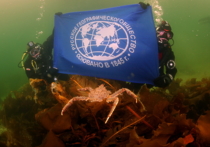 Дайверы установили мировой рекорд  в Баренцевом море