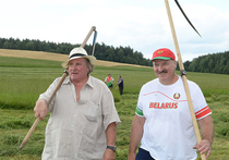 Депардье скосил траву в резиденции Лукашенко и накормил коня