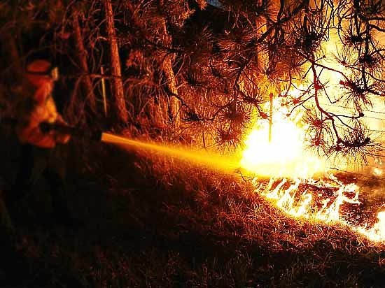 Вдвое увеличилась со вторника площадь лесных пожаров в Красноярском крае 