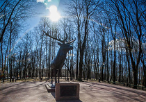 Смоляне собирают подписи против возвращения статуи оленя в Калининград