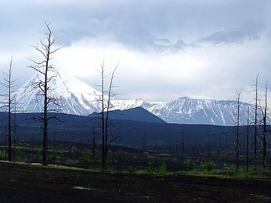 В застывшей лаве Толбачинского извержения найдены алмазы неизвестного типа 