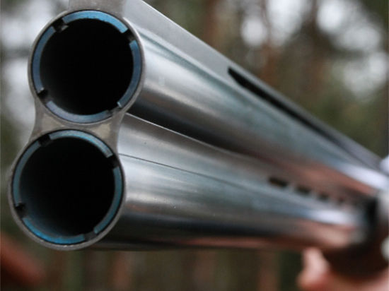 Люберецкий суд посчитал, что понятие «превышение пределов необходимой обороны» неприменимо к отношениям между человеком и зверем